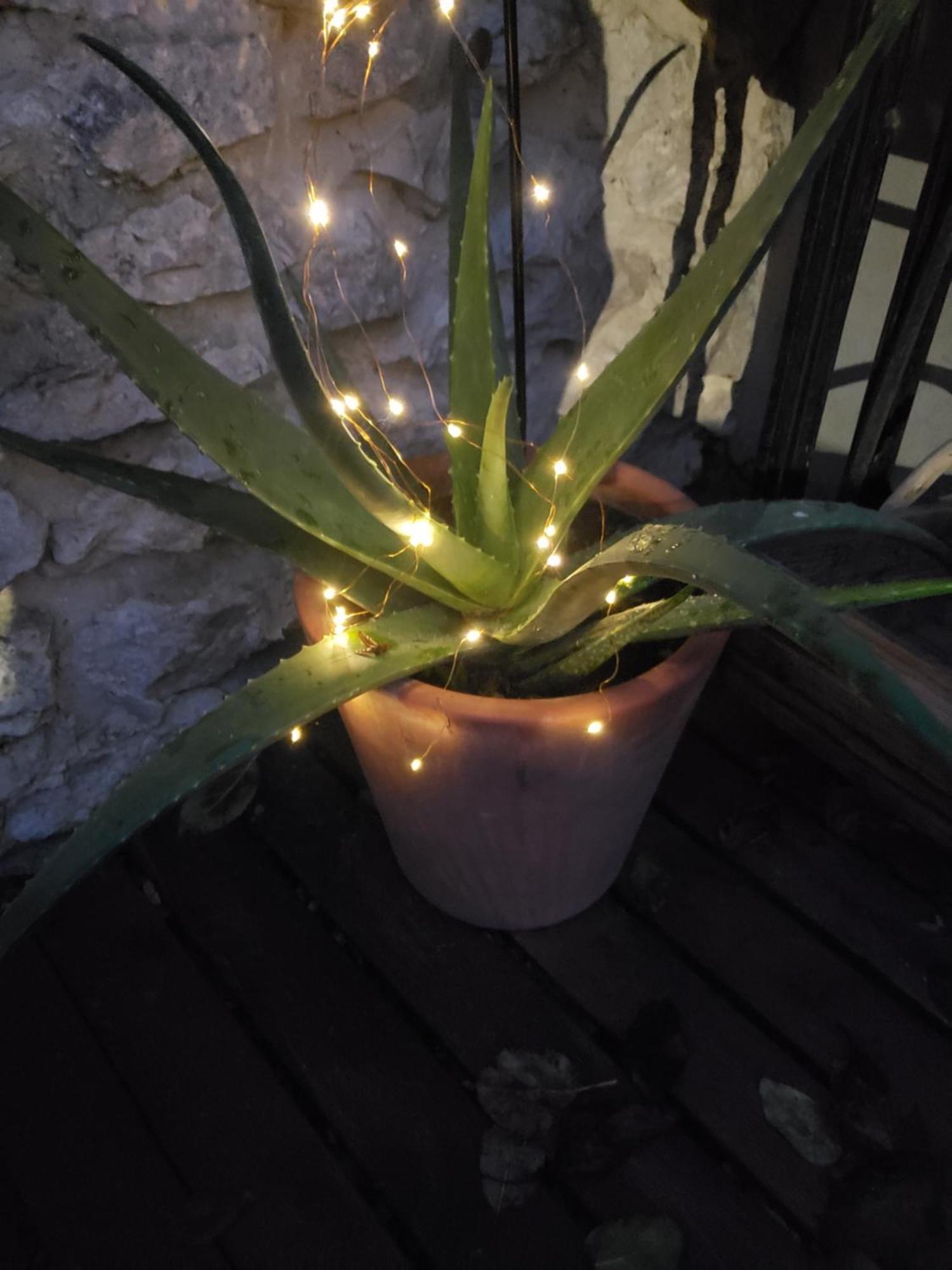 Chez Didier Et Vero Homestay Houville-la-Branche